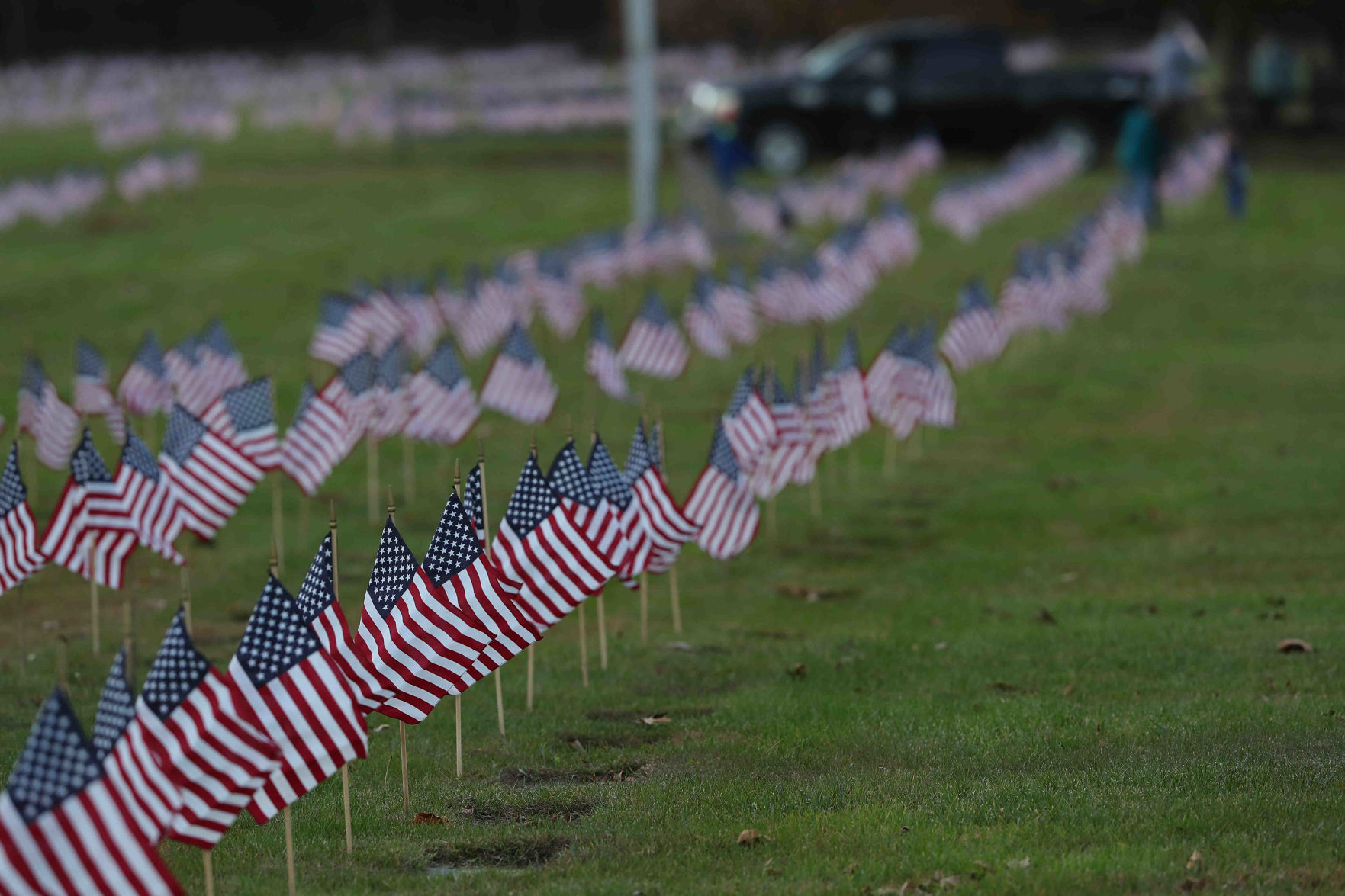 Scouts planted American Flags ahead of Veterans Day